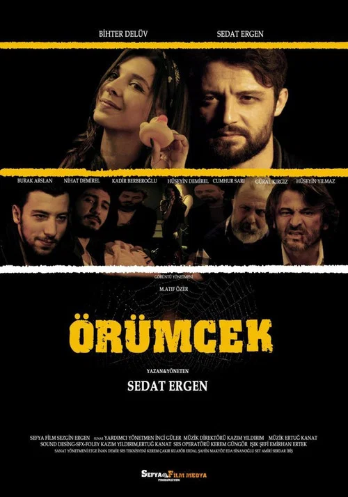 Örümcek постер
