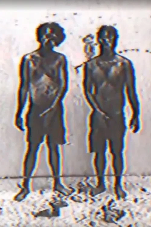 Fook Fook Boys постер