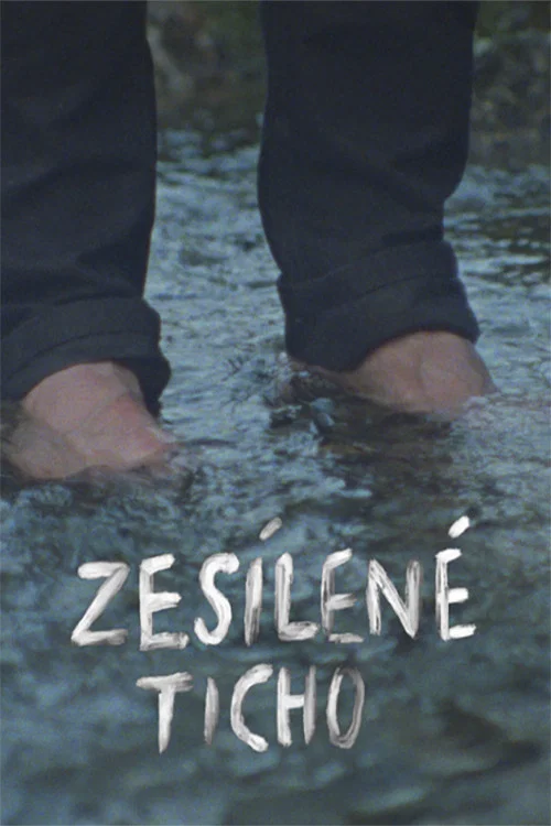 Zesílené ticho постер