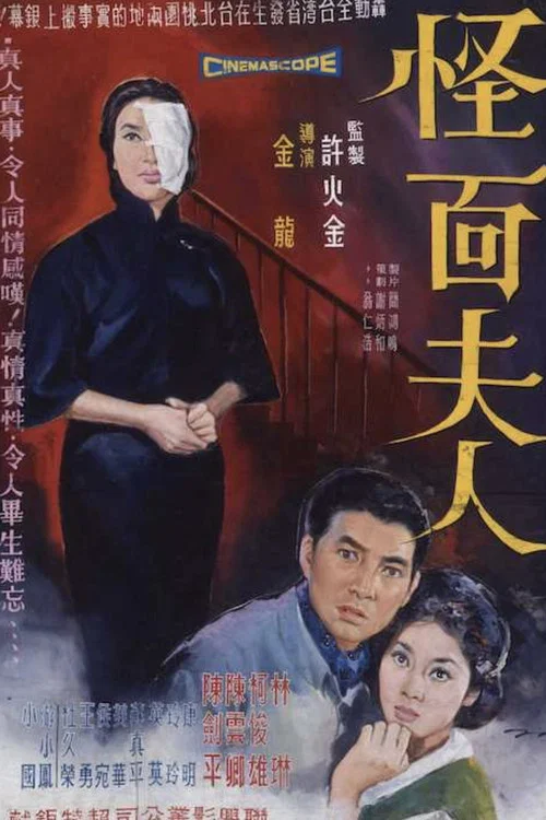 怪面夫人 постер