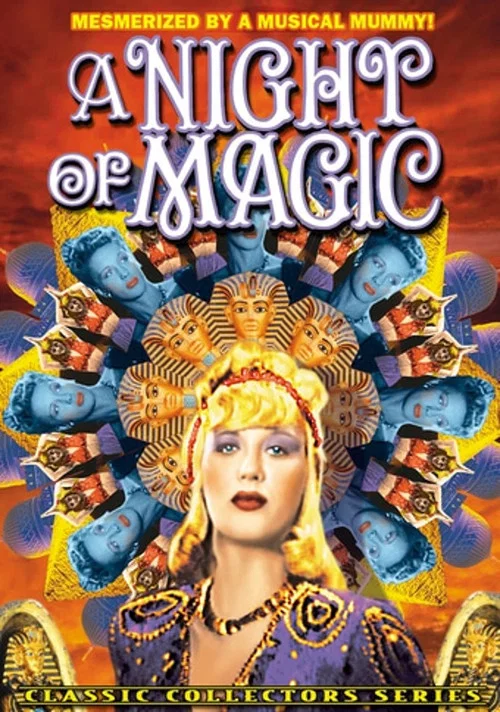 A Night of Magic постер