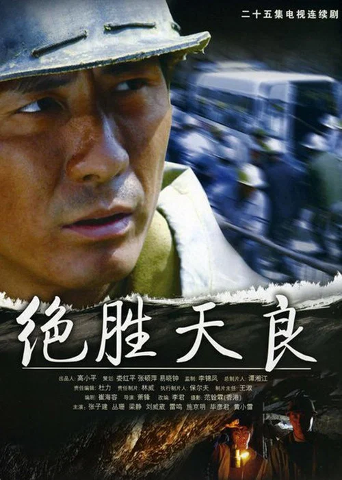 决胜天良 постер