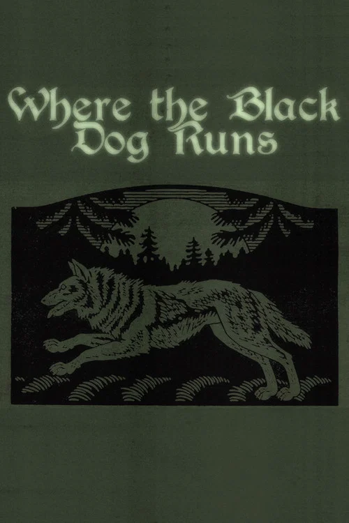 Where the Black Dog Runs постер