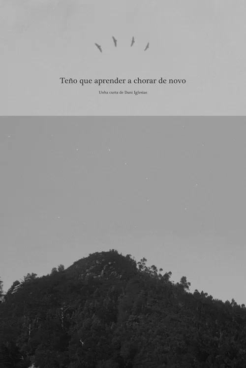Teño que aprender a chorar de novo постер