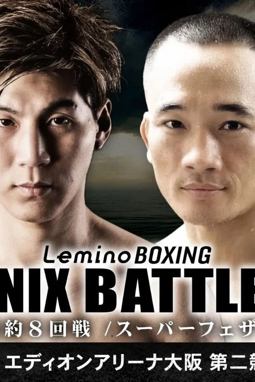 Lemino BOXING PHOENIX BATTLE 134 постер