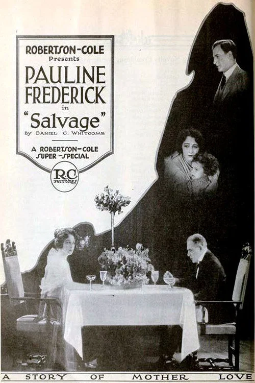 Salvage постер
