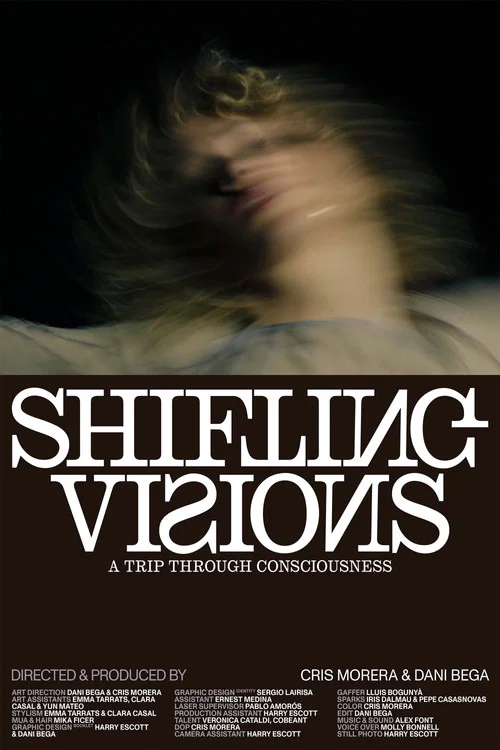 SHIFTING VISIONS постер