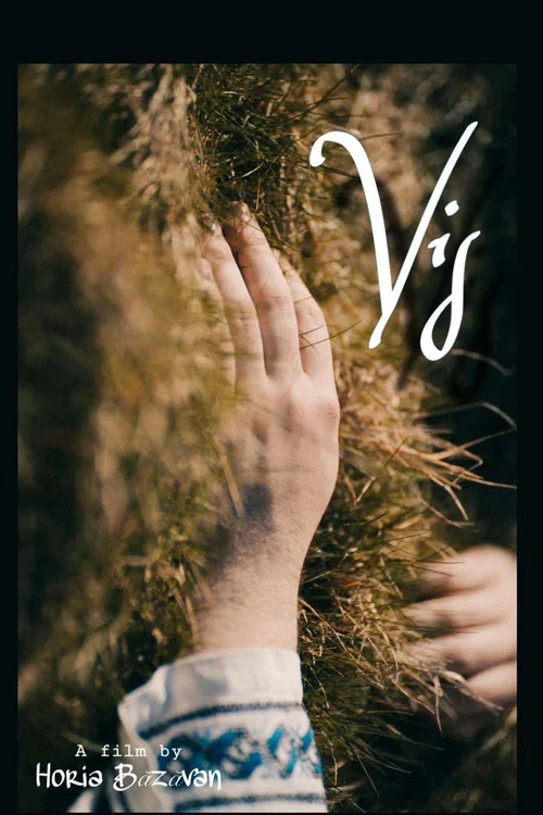 VIS постер