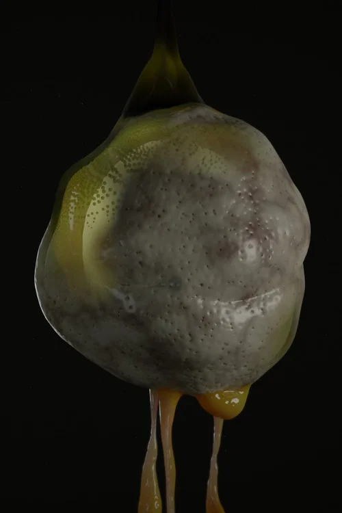 Soup Frog постер