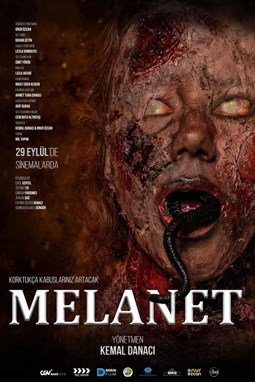 Melanet постер