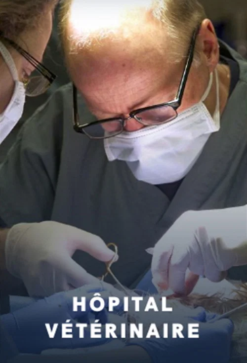 Hôpital vétérinaire постер