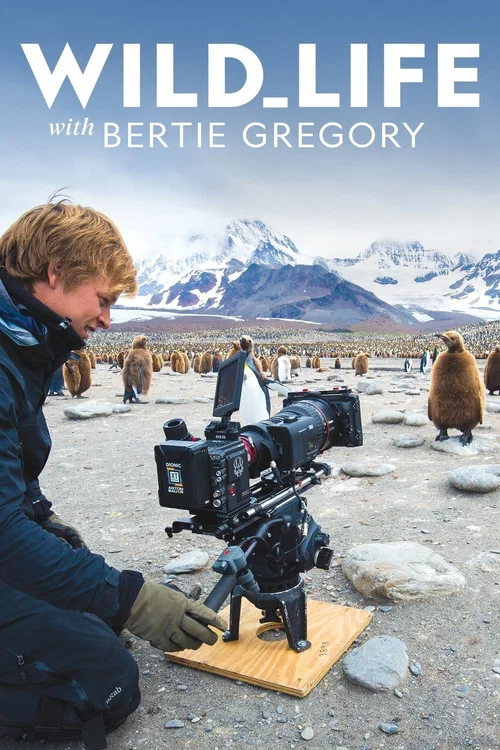 Wild Life with Bertie Gregory постер