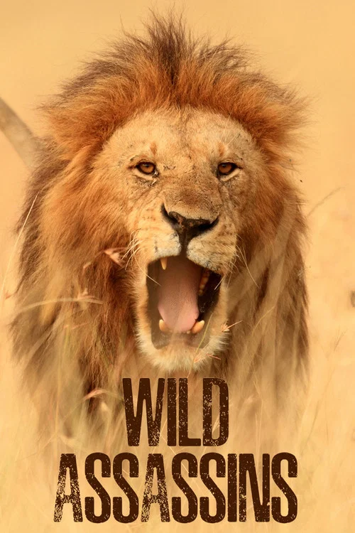 Wild Assassins постер