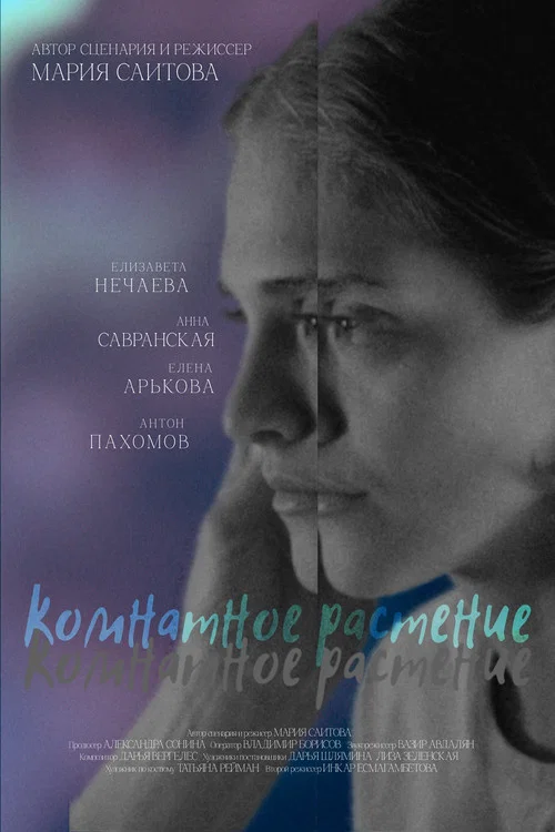 Комнатное растение постер