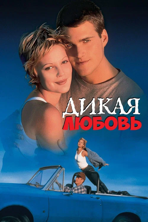 Дикая любовь постер