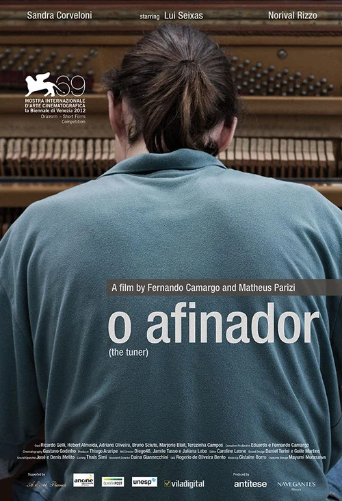 O Afinador постер