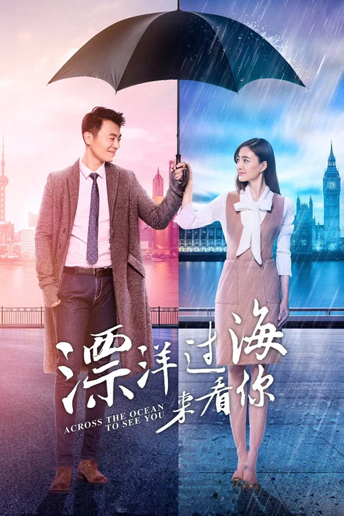 漂洋过海来看你 постер