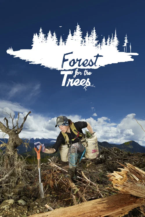Forest for the Trees постер