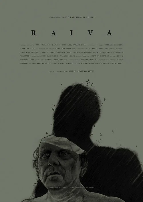 Raiva постер
