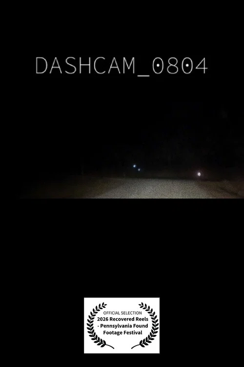 dashcam_0804.mp4 постер