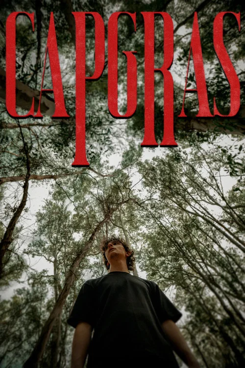 Capgras постер
