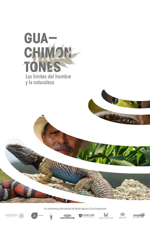 Guachimontones, los límites del hombre y la naturaleza. постер