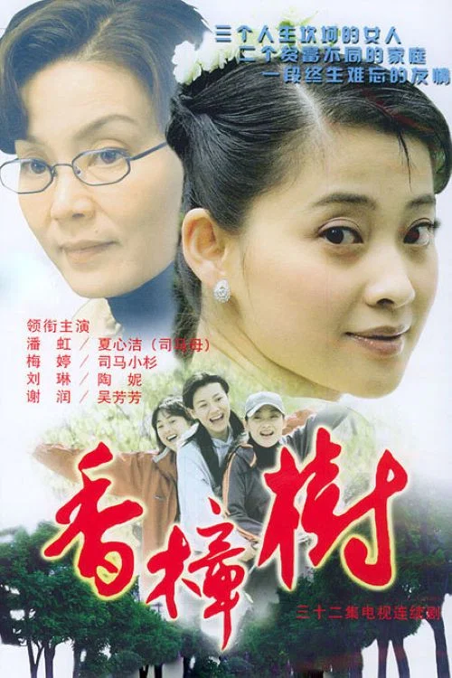 香樟树 постер