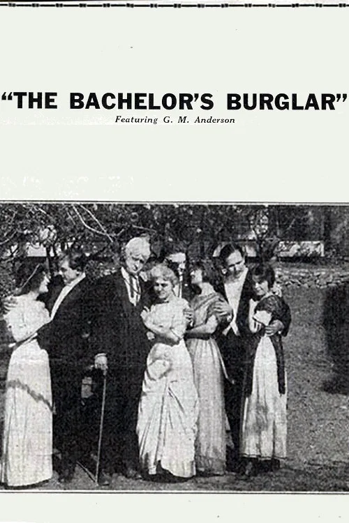 The Bachelor's Burglar постер