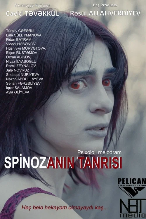 Spinozanın Tanrısı постер