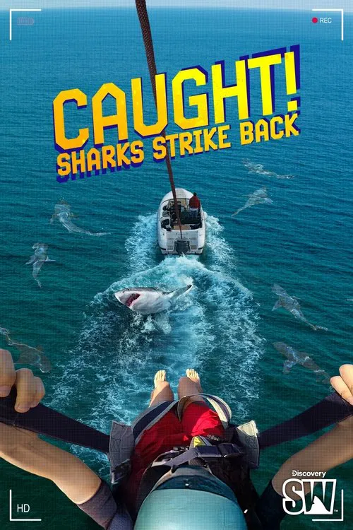 Caught! Sharks Strike Back постер