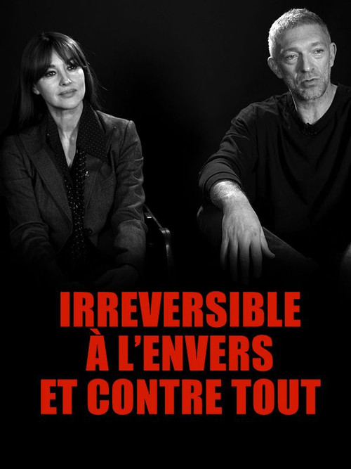 Irréversible : à l'envers et contre tout постер