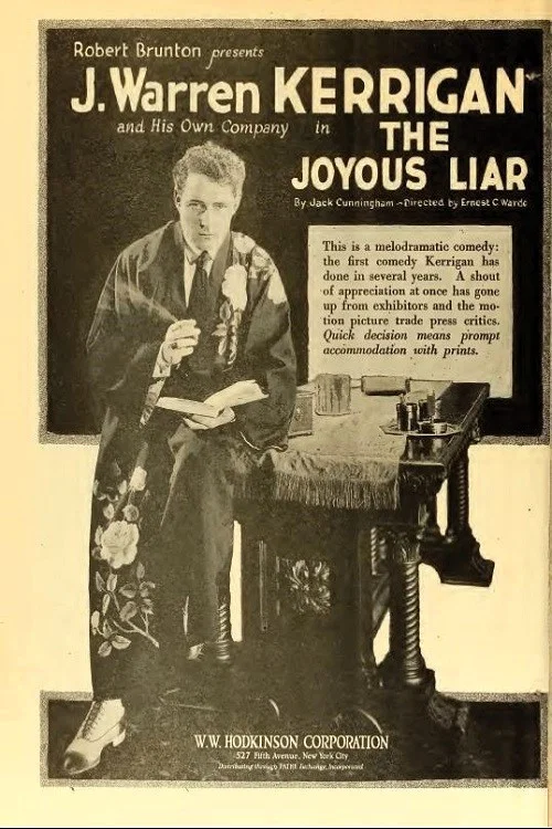 The Joyous Liar постер
