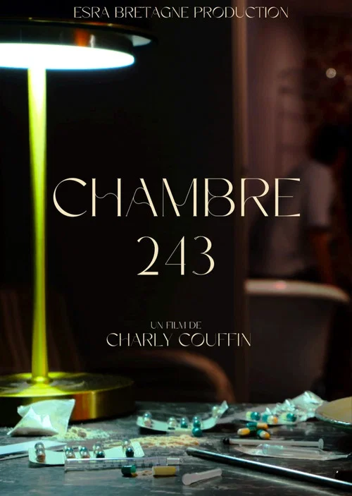 Chambre 243 постер