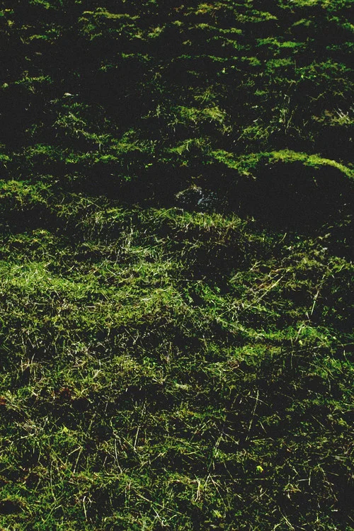 Untitled / Aubrac постер