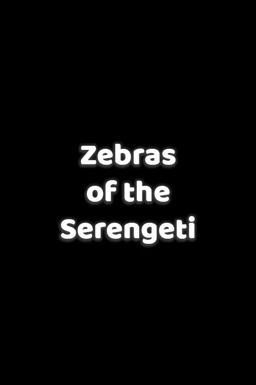 Zebras of the Serengeti постер