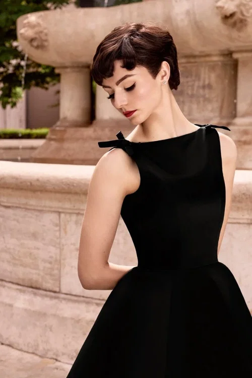 Dinner with Audrey постер
