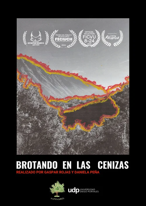 Brotando en las cenizas постер