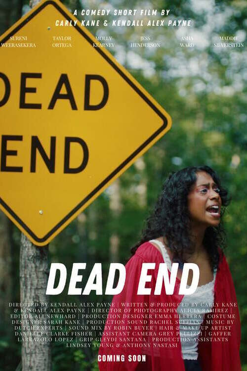 Dead End постер