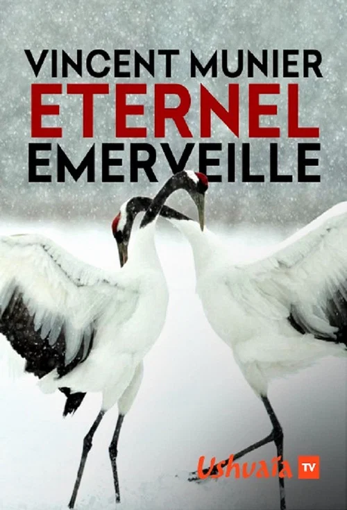 Vincent Munier, éternel émerveillé постер