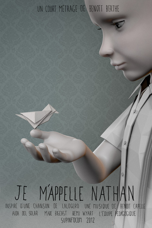 My Name Is Nathan постер
