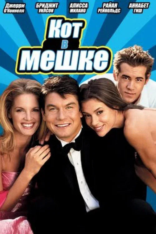 Кот в мешке постер