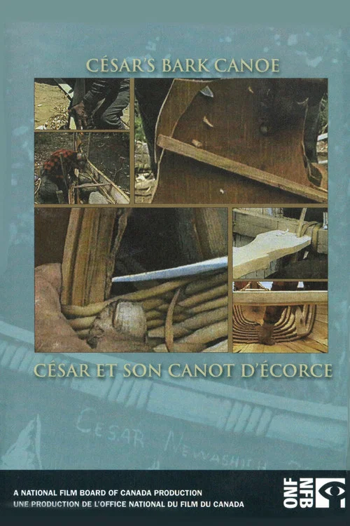 César et son canot d'écorce постер