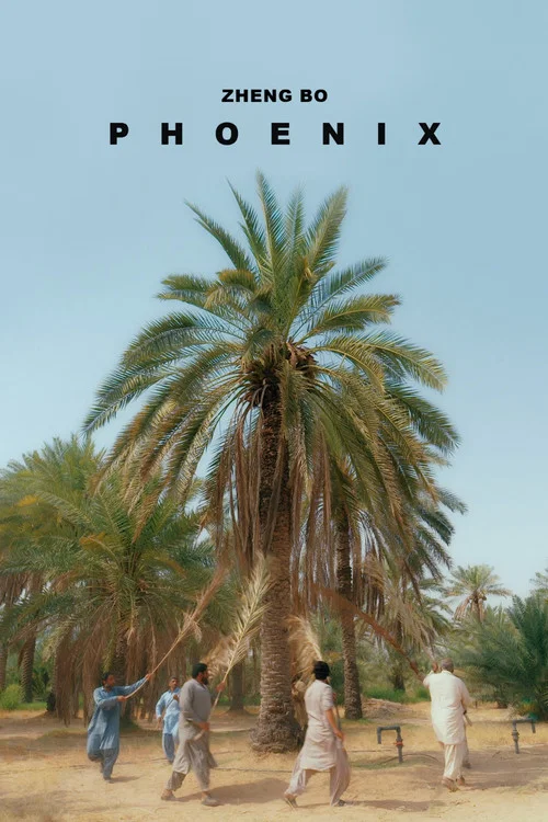 Phoenix постер
