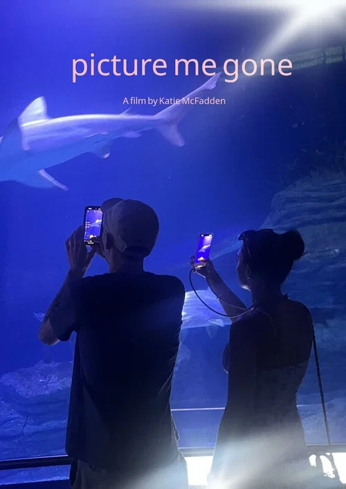 Picture Me Gone постер