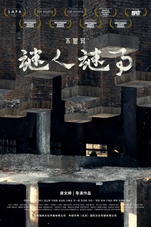 不思异：谜人谜事 постер
