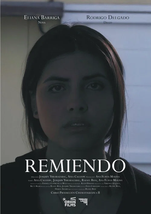 Remiendo постер