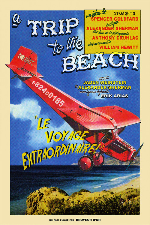 A Trip to the Beach постер