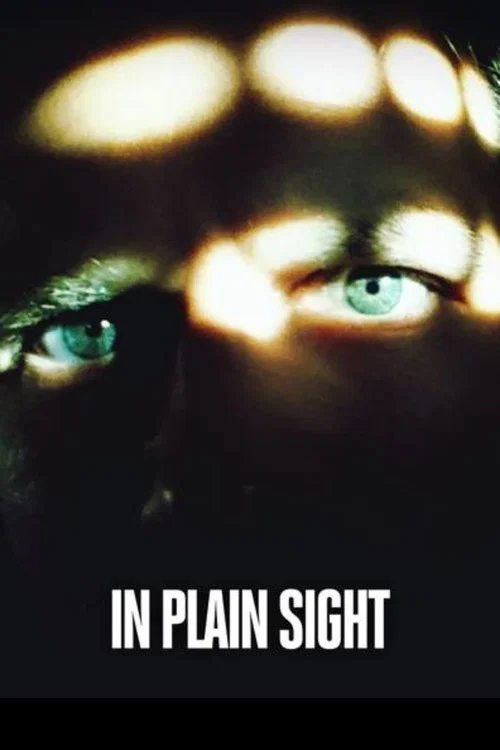 Killer in Plain Sight постер