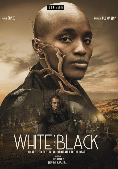 White and Black постер