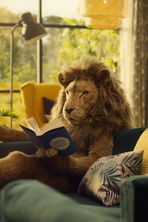 Lions постер